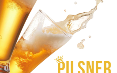 Drinkware – Pilsners & Steins
